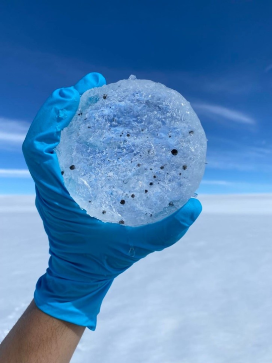 Bohrkern aus dem grönländischen Eisschild mit schwarzen Partikeln, die Algen, Mineralien und Ruß enthalten. Sie verdunkeln die Gletscheroberfläche und beschleunigen im Sommer die Eisschmelze. © Rey Mourot