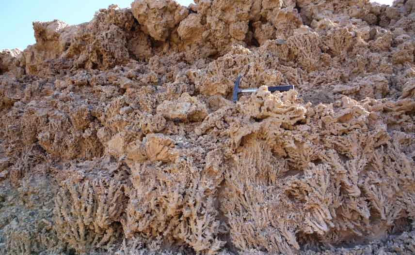 5-Fossiles-Korallenriff-an-der-Küste-des-Roten-Meeres-©-W