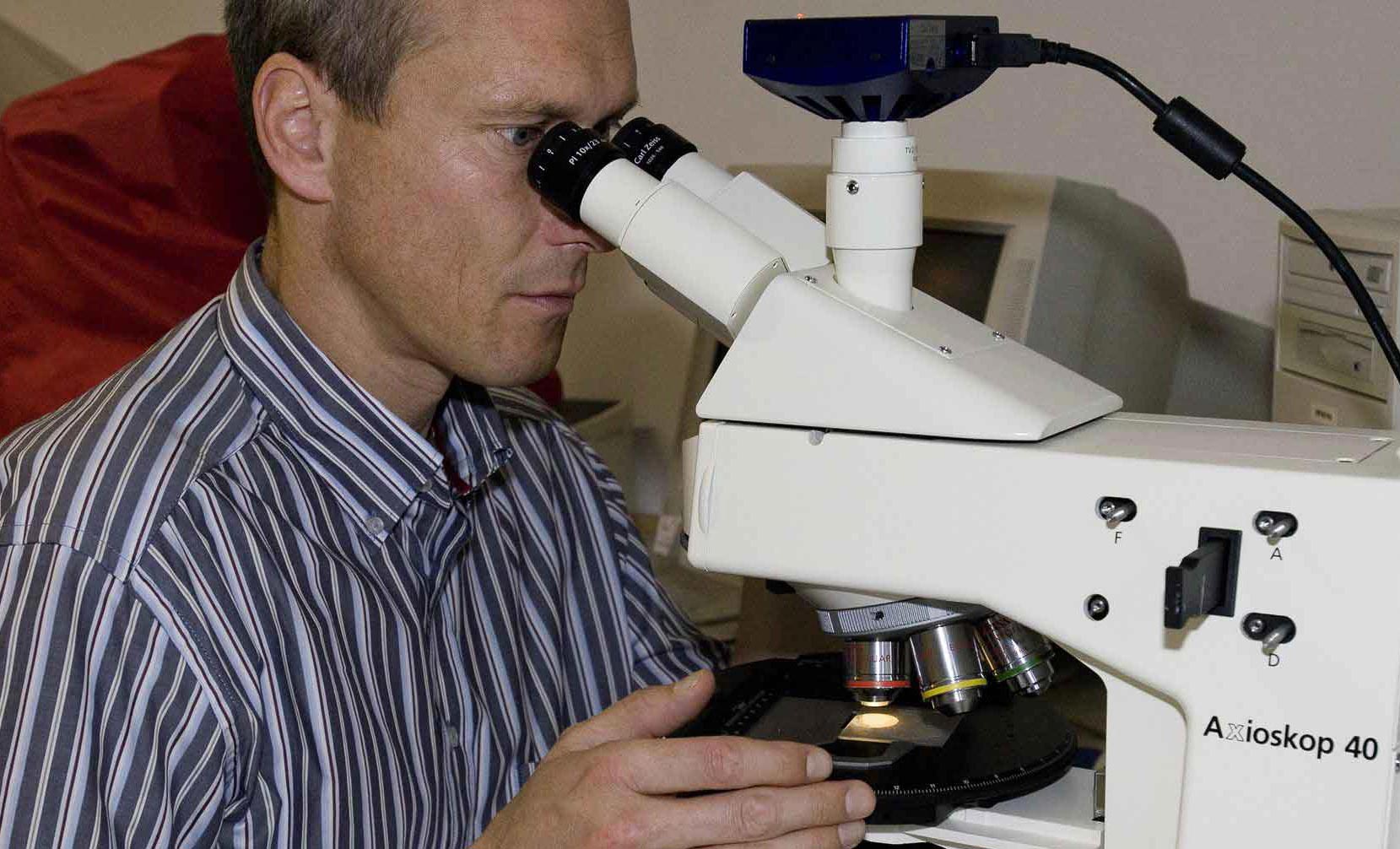 9_Kießling-bei-der-Analyse-von-Gesteinsdünnschliffen-unter-dem-Polarisationsmikroskop-©-Carola-Radke,-Museum-für-Naturkunde-Berlin